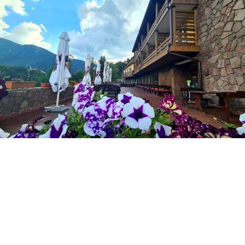 Hotel Panorama