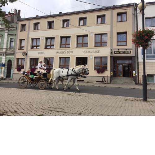 Hotel Panský dům