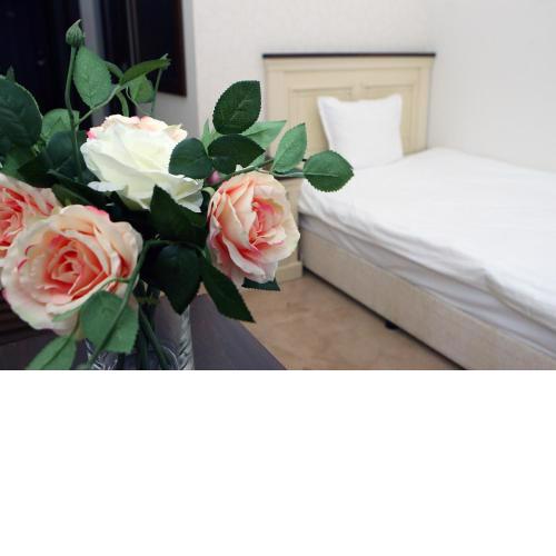 Hotel Par Avion