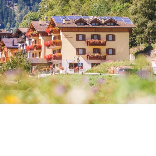 Hotel Pezzotti