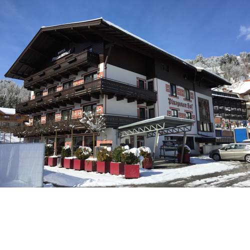 Hotel Pinzgauerhof by Skinetworks