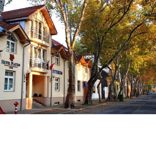 Hotel Platan