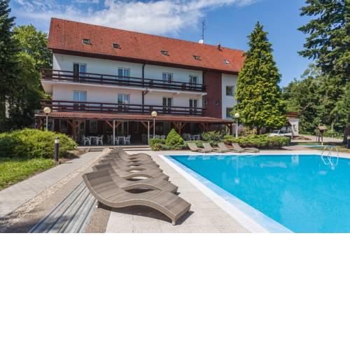 Hotel pod Lipou