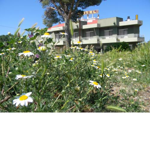Hotel Restaurante Las Galias