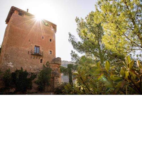 Hotel Rural Castillo de Somaén