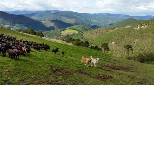 Hotel Rural Yeguada Albeitar