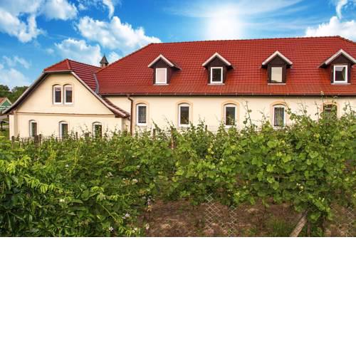 Hotel Schaller