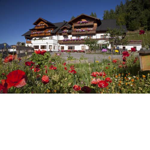 Hotel Schröckerhof