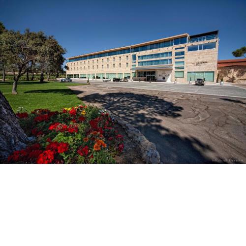 Hotel & Spa Arzuaga