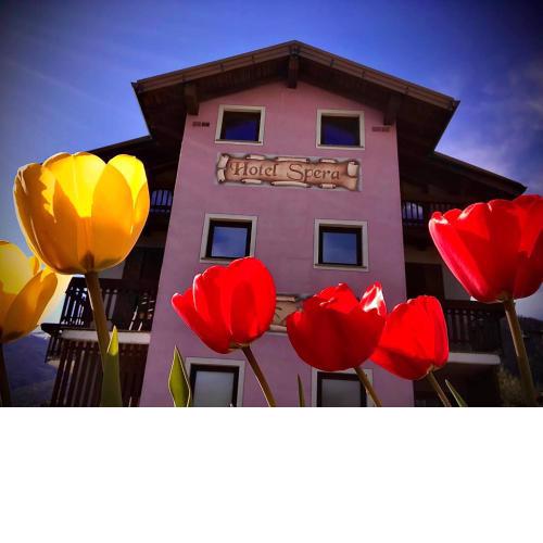 Hotel Spera