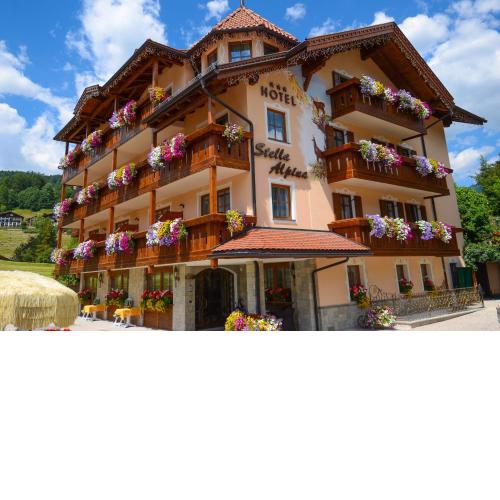 Hotel Stella Alpina