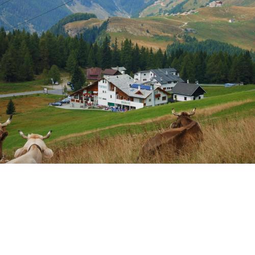 Hotel Tambò