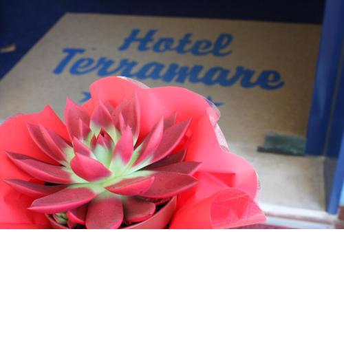Hotel Terramare
