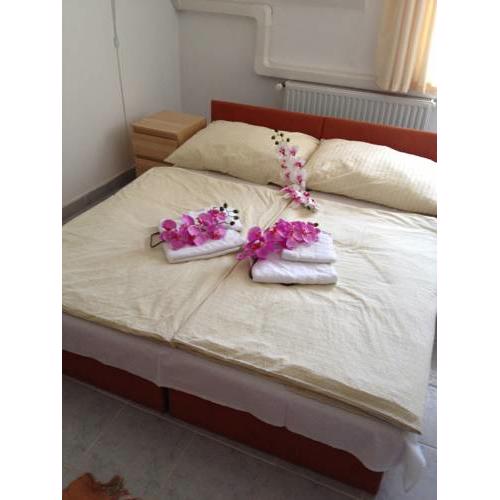 Hotel Timon