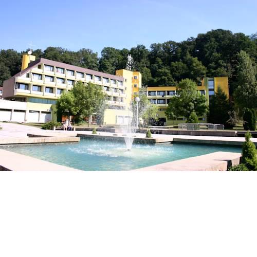 Hotel Top-Terme Topusko