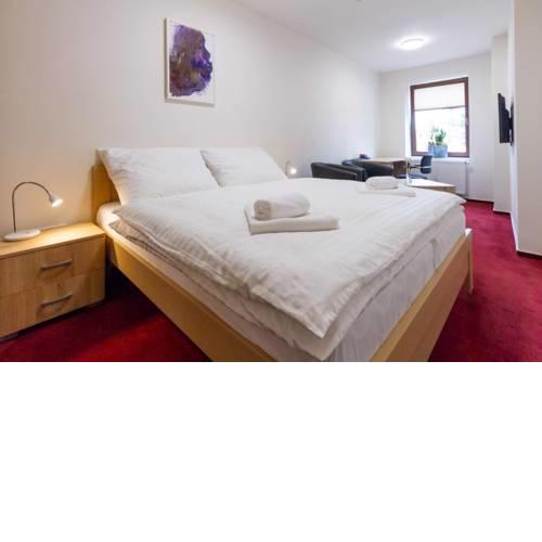 Hotel Ungar