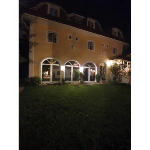 Hotel Viki