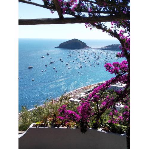 Hotel Villa al Mare