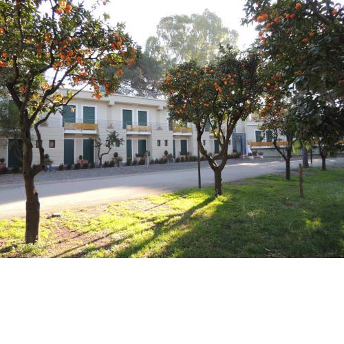 Hotel Zeus