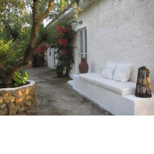 House among the olive trees