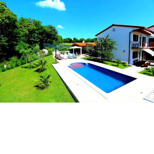 House and Apartments in Labin 8758