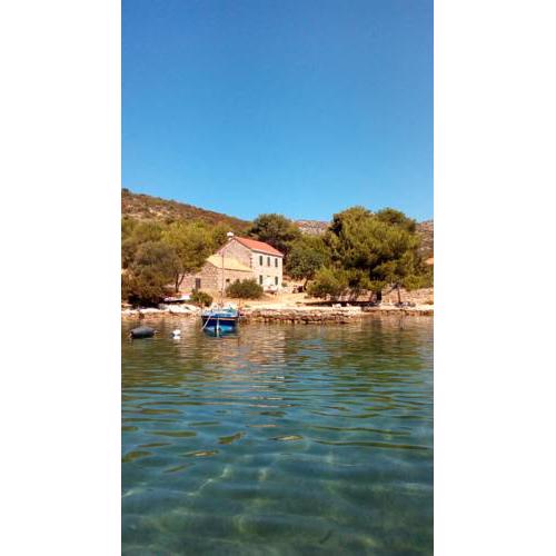 House Antica
