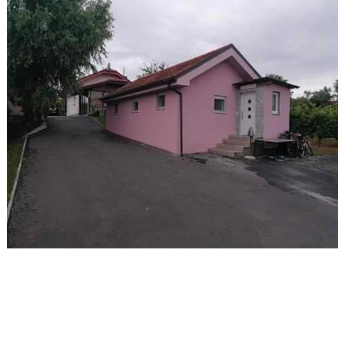 House at the trees