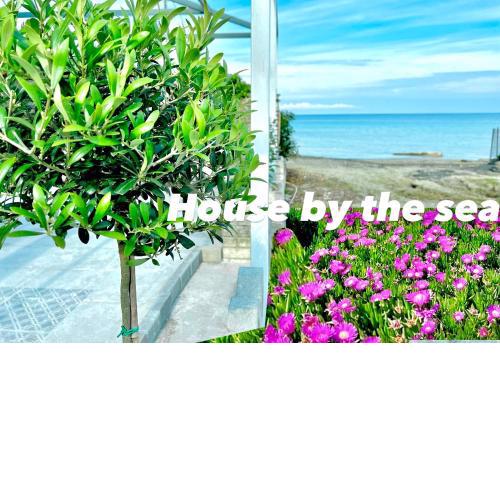 House by the sea suites 2