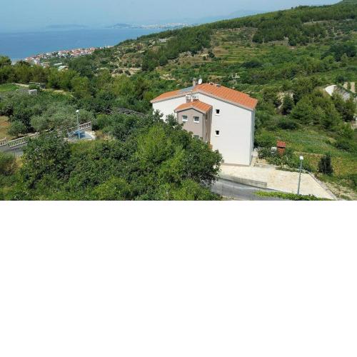 House Carso Olea