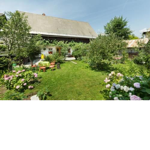 House, Garden and a Green Cat