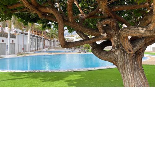 House Helen Holidays in Tenerife