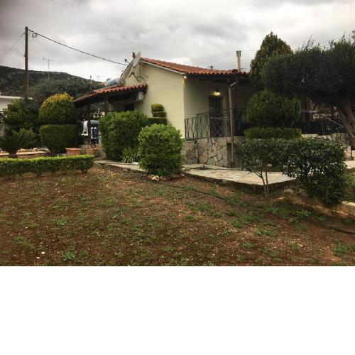 House in garden