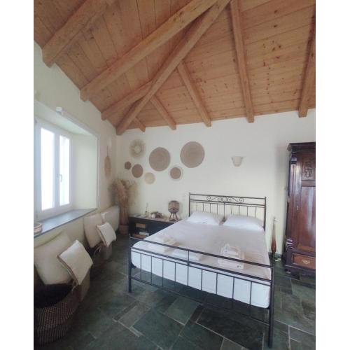 House Moschα