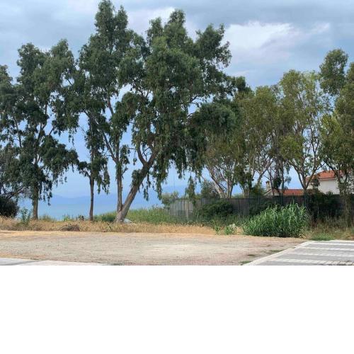 House near Sykia beach