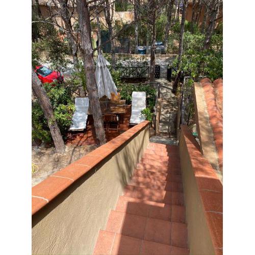 House pinus village