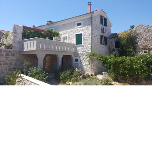 House Tkon