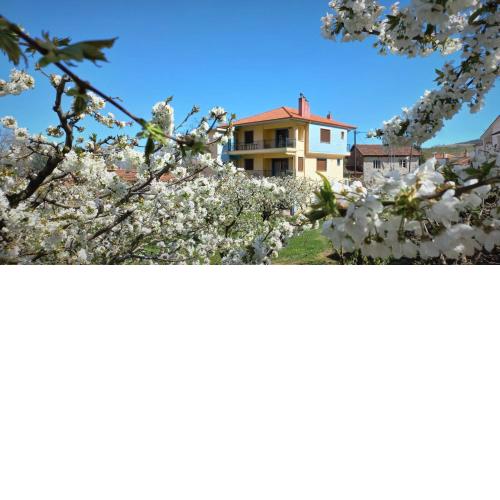 House Venetia