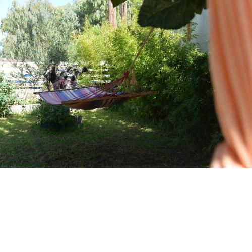 House with Big Garden