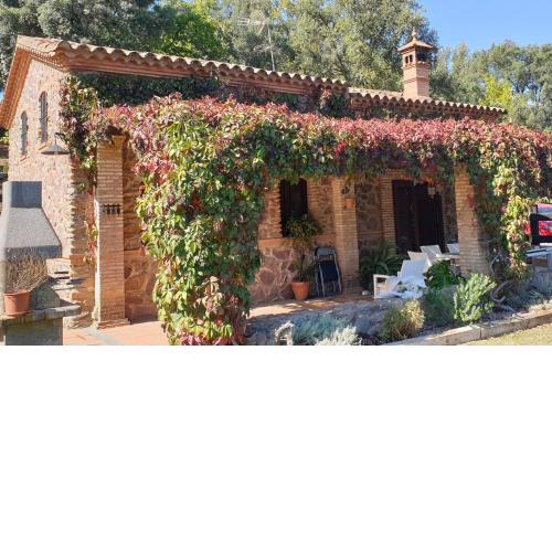 Huerto Los Castaños