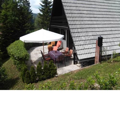 Hugo's House
