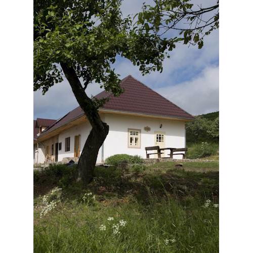 Huize Zwaluw - Lastovicka