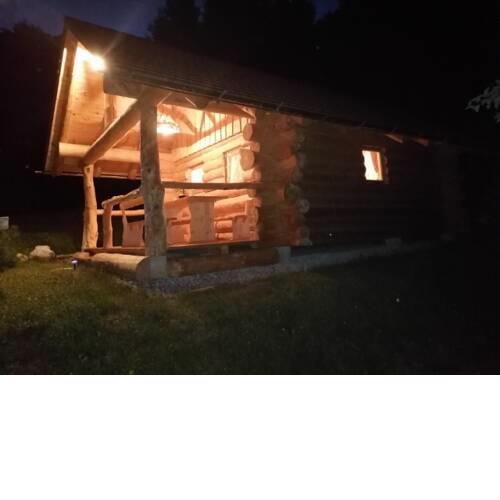 hut by the forest