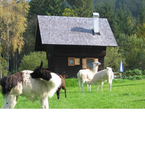 Hütte zum Verlieben