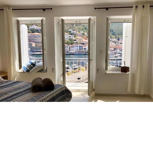 Hydra's View