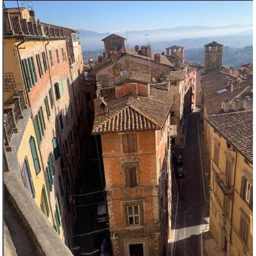 I CARTOLARI