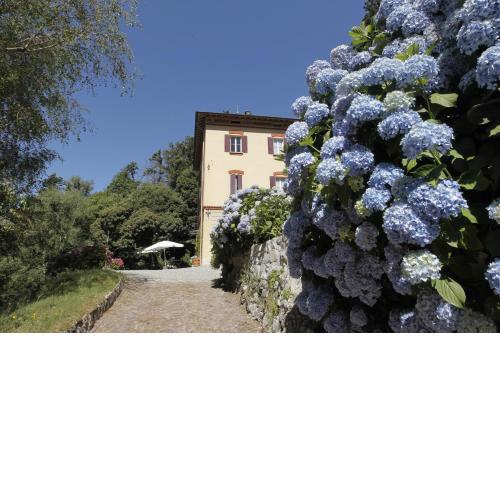 I Faggi di S. Giorgio