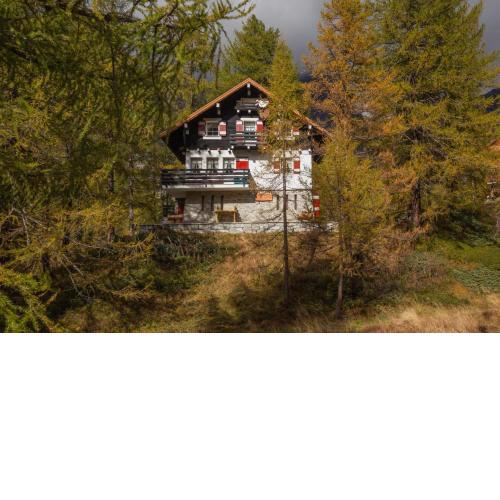 I Larici - Appartamento per sognare