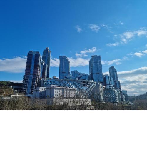 I love the Nature and the City 369