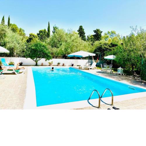 I mori di Sicilia : pool flowers and garden close to beach