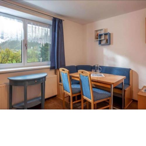 Ideal Apartment in Hopfgarten im Brixental near Ski Slopes